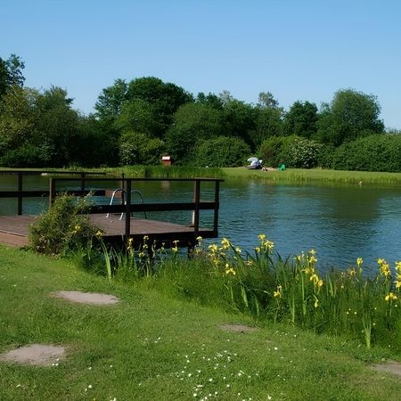 Ein ruhiger Wasserbereich mit einem Holzsteg, der ins Wasser führt, umgeben von natürlicher Vegetation.